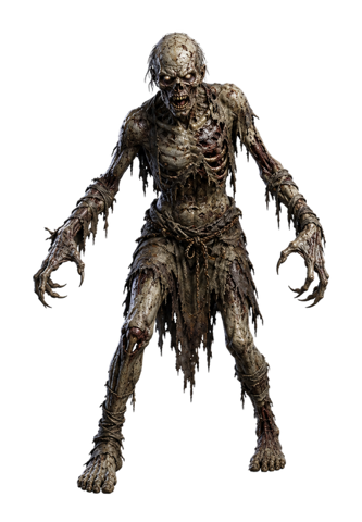 Weak Zombie, a undead of the Necropolis.